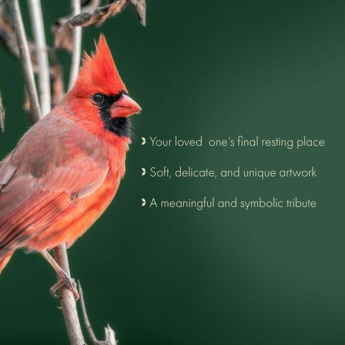 Cozy Cardinal Cremation Urns for Human Ashes Adult Male for Funeral, Burial or Home. Cremation Urns for Adult Male Large Urns for Dad and Cremation Urns for Adults XL Large & Small Urns for Ashes in Kuwait