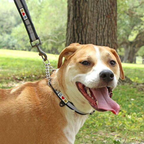 Pawtitas Martingale Dog Collar with Chain a Reflective Dog Training Collar for Large Dogs | Nylon No Pull Dog Collar for Large Dog - Green Camo in Saudi Arabia