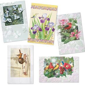 مجموعة بطاقات عيد ميلاد فاخرة من Pumpernickel Press Sweet Songbirds - مجموعة من 30 بطاقة in Kuwait