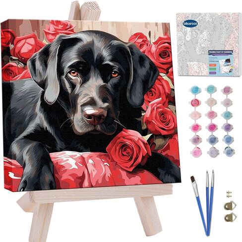 Blissroot Framed Paint by Numbers Kit for Adults Beginner&Kids Ages 8-12, 10x10inch Black Lab Paint by Numbers with Frame, Small Dog Paint by Number Framed Canvas (Without Easel) in Saudi Arabia