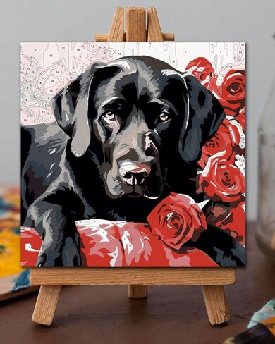 Blissroot Framed Paint by Numbers Kit for Adults Beginner&Kids Ages 8-12, 10x10inch Black Lab Paint by Numbers with Frame, Small Dog Paint by Number Framed Canvas (Without Easel) in Saudi Arabia