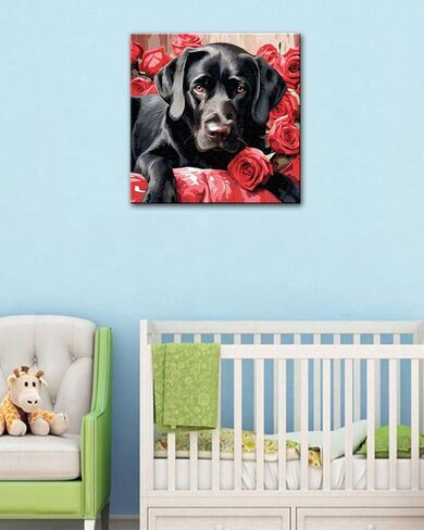 Blissroot Framed Paint by Numbers Kit for Adults Beginner&Kids Ages 8-12, 10x10inch Black Lab Paint by Numbers with Frame, Small Dog Paint by Number Framed Canvas (Without Easel) in Saudi Arabia