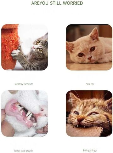 Cat Teaser Wand Toy for Indoor Cats, Cute Mesh Snake & Crinkle Plush Fabric Kitten Wand Kitty Toys Interactive Play Chase Exercise Wand String Toys Cat Toys for All Breed Sizes (Yellow,14.57+30.7inch) in Saudi Arabia