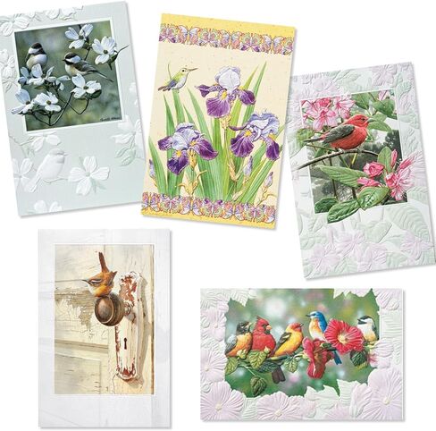 مجموعة بطاقات عيد ميلاد فاخرة من Pumpernickel Press Sweet Songbirds - مجموعة من 30 بطاقة in Kuwait