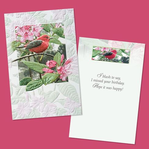 مجموعة بطاقات عيد ميلاد فاخرة من Pumpernickel Press Sweet Songbirds - مجموعة من 30 بطاقة in Kuwait