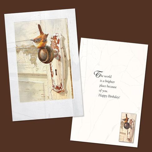 مجموعة بطاقات عيد ميلاد فاخرة من Pumpernickel Press Sweet Songbirds - مجموعة من 30 بطاقة in Kuwait