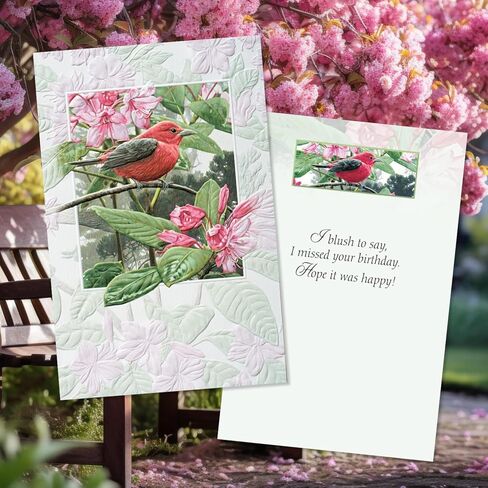 مجموعة بطاقات عيد ميلاد فاخرة من Pumpernickel Press Sweet Songbirds - مجموعة من 30 بطاقة in Kuwait