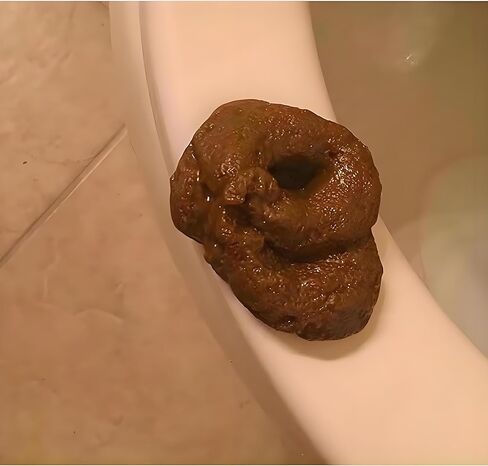 Brown Realistic Fake Poop, Prank Kit for April Fools Halloween, Perfect Hilarious Gag Gift, Novelty Floating Fake Poop Toys Realistic April Fools' Day in Kuwait