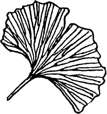 ختم مطاطي من جينكو إل جي، 2 × 2 ختم خشبي in Kuwait