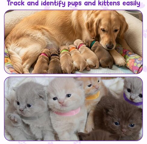 30Pcs Newborn Puppy Litter Collars, Soft Nylon Whelping Collars, Adjustable Puppy Little Identification Collar for Newborn Dog, Kittens, Pet in Saudi Arabia