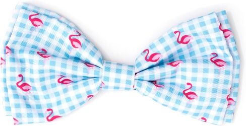 THE WORTHY DOG Pet Bow Tie for Dogs & Cats – Soft Printed Polyester Collar Bow Tie with Touch Fastener, Attaches to Any Collar - It's My Birthday Pattern, Blue, Small in Saudi Arabia