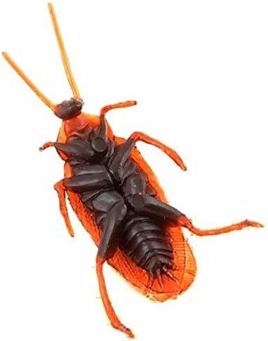 12 قطعة من البلاستيك وهمية وهمية الصرصور العقرب الحشرات نكتة اللعب المزحة خدعة مخيفة البق للحزب in Kuwait