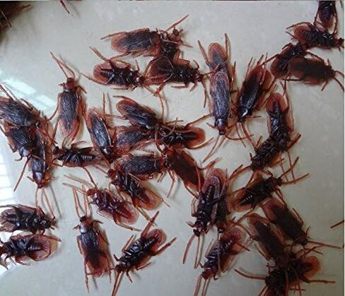 12 قطعة من البلاستيك وهمية وهمية الصرصور العقرب الحشرات نكتة اللعب المزحة خدعة مخيفة البق للحزب in Kuwait