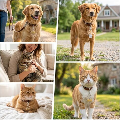 Dog Tag Clip, 17PCS Heavy Duty Quick Clips Cats & Dogs Collar Clip for ID Tags Stainless Steel Pet ID Name Tag Attachment Buckle Clips with Key Rings for Dog Cat Pets Collars Harness, Silver in Saudi Arabia