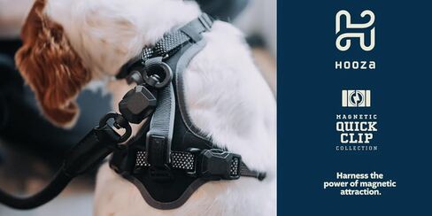 Magnetic Quick Clip: Easy Fit Harness w/Flat Leash,Black,Medium in Saudi Arabia