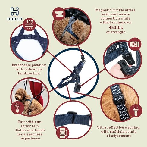 Magnetic Quick Clip: Easy Fit Harness w/Flat Leash,Black,Medium in Saudi Arabia