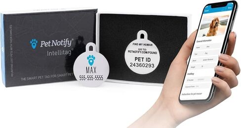Pet Notify Intellitag - Smart Pet ID Tag Recovery System for Dogs - Personalized Stainless Steel Tag Engraved with Pet Name & Digital ID - Web Enabled Pet Vault App - Large Dog Tag in Saudi Arabia