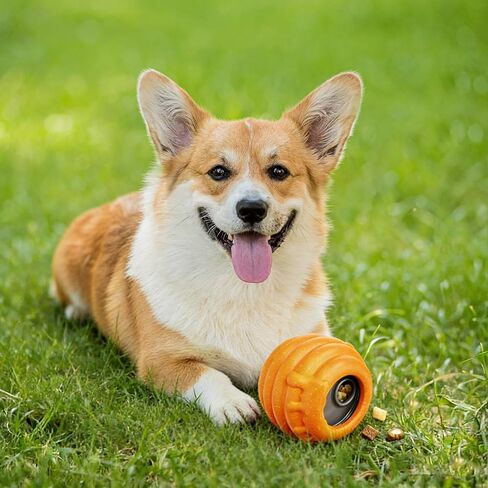 لعبة إثراء الكلاب للمضغ العدواني - لعبة ألغاز تفاعلية للكلاب من أجل الملل - موزع حلوى وعاء العسل من النايلون المتين ومغذي بطيء - لعبة لعق مجمدة مع أكواب قابلة للإزالة، برتقالي in Kuwait