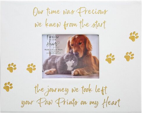 Pavilion Gift Company - Paw Prints On My Heart - Memory Box With 5" x 4" Photo Holder Loss Of Pet Cat Dog Bereavement In Memory in Saudi Arabia