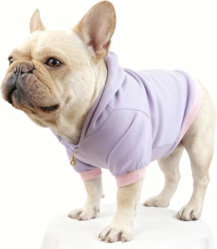 French Bulldog Clothes Sweaters, Frenchie Clothes Dog Hoodie for Small Medium Dogs Girl Boy, Fleece Puppy Sweater Cold Weather Winter Coats, Purple,M in Saudi Arabia