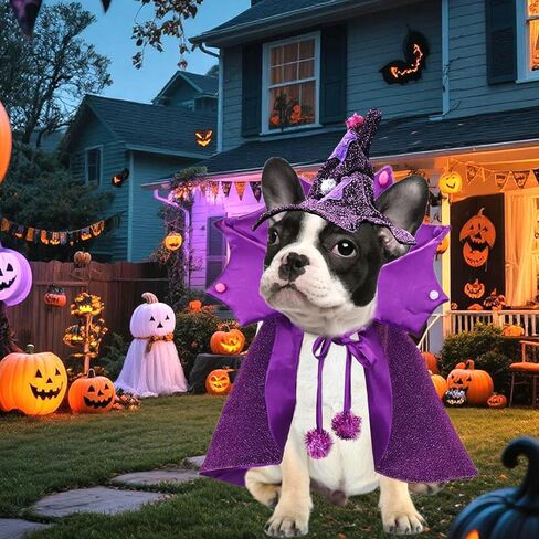 Halloween Wizard Dog Costumes Pet Cloak Witch Cape Hat Set 2PACK Wizard Cat Clothes Halloween Outfits Shiny Vampire Devil Cloak for Medium Dogs Party Cosplay Apparel (Purple, Medium) in Saudi Arabia