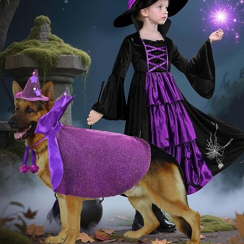 Halloween Wizard Dog Costumes Pet Cloak Witch Cape Hat Set 2PACK Wizard Cat Clothes Halloween Outfits Shiny Vampire Devil Cloak for Medium Dogs Party Cosplay Apparel (Purple, Medium) in Saudi Arabia