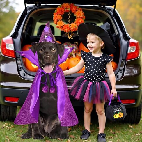 Halloween Wizard Dog Costumes Pet Cloak Witch Cape Hat Set 2PACK Wizard Cat Clothes Halloween Outfits Shiny Vampire Devil Cloak for Medium Dogs Party Cosplay Apparel (Purple, Medium) in Saudi Arabia