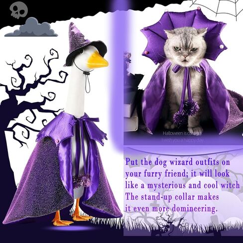 Halloween Wizard Dog Costumes Pet Cloak Witch Cape Hat Set 2PACK Wizard Cat Clothes Halloween Outfits Shiny Vampire Devil Cloak for Medium Dogs Party Cosplay Apparel (Purple, Medium) in Saudi Arabia