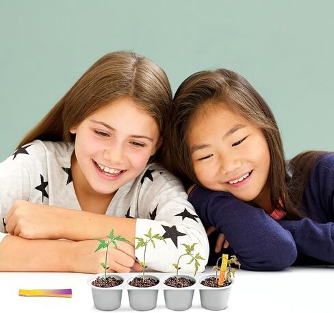 4M: Green Science - Weather Science - DIY Mini Observatory Kit, Static Electricity, Lightning-Cloud Formation, Build A Water Cycle Model, STEAM Kid 5+ in Saudi Arabia