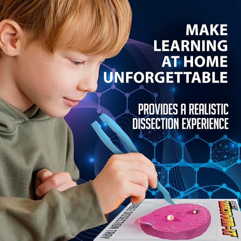Discover-It Dissection Kit for Kids, Real Freshwater Pearl Science Lab Kit for Oysters, Science Toys for Kids Ages 5 and Above in Saudi Arabia