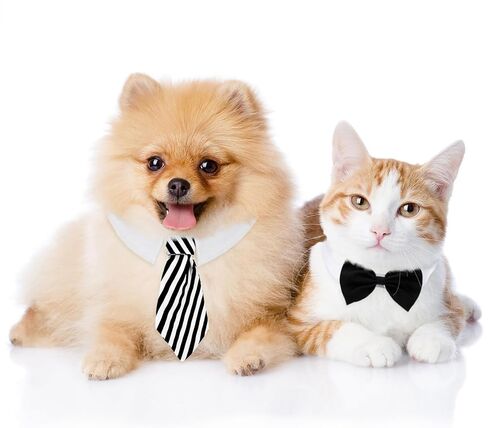 Syhood 4 Pieces Pet Bow Tie Adjustable Pet Neck Tie Costume Formal Cats Puppy Grooming Ties Dog Collar for Small Dogs Party Accessories (S,Black, Red, Red White, Blue White) in Kuwait