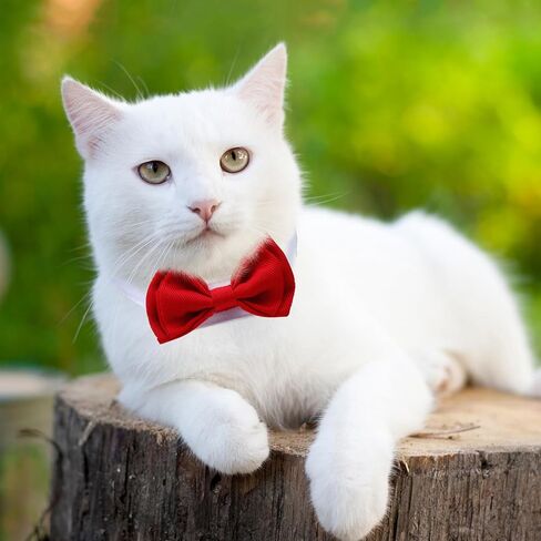 Syhood 4 Pieces Pet Bow Tie Adjustable Pet Neck Tie Costume Formal Cats Puppy Grooming Ties Dog Collar for Small Dogs Party Accessories (S,Black, Red, Red White, Blue White) in Kuwait