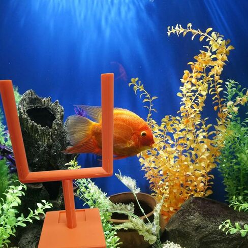Aquarium Decor Field Goal Post for Fish to Swim Through College Football Fish Tank or Betta Fish Tank Any Color Decor Football Game Day Deco (Yellow) in Saudi Arabia