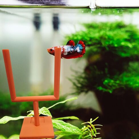 Aquarium Decor Field Goal Post for Fish to Swim Through College Football Fish Tank or Betta Fish Tank Any Color Decor Football Game Day Deco (Yellow) in Saudi Arabia