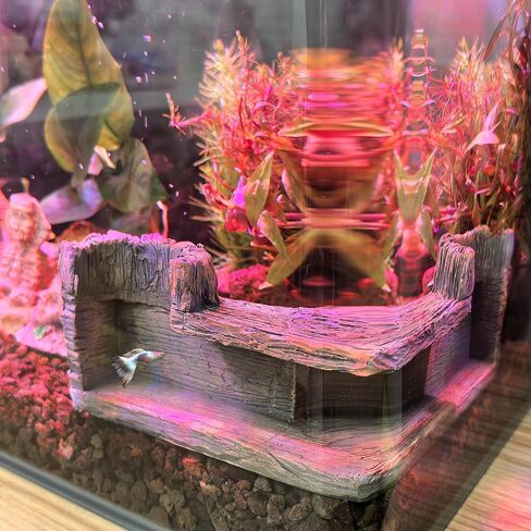 M2cbridge Aquarium Cave Betta Tunnel Driftwood Corners Shrimp House Hideout for Cichlid Breeding(Tree Trunk) in Kuwait