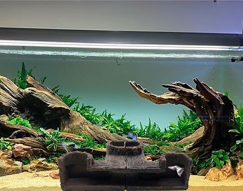 M2cbridge Aquarium Cave Betta Tunnel Driftwood Corners Shrimp House Hideout for Cichlid Breeding(Tree Trunk) in Kuwait