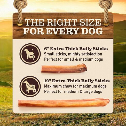 Pet Odor-Free Extra-Thick Jumbo Bully Sticks for Large Dogs (12", 5 Pack) – All-Natural, Long-Lasting Dog Chews Made from 100% Grass-Fed Beef, High-Protein & Grain-Free. in Kuwait