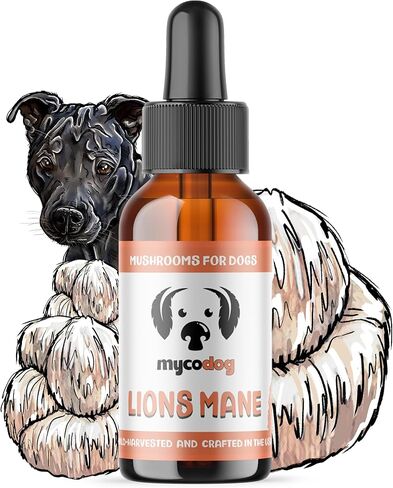 مكمل الفطر MycoDog Lions Mane للكلاب - الصحة المعرفية والدماغية - Lions Mane للكلاب - قطرات العافية لكبار السن in Kuwait