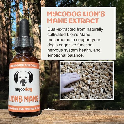 مكمل الفطر MycoDog Lions Mane للكلاب - الصحة المعرفية والدماغية - Lions Mane للكلاب - قطرات العافية لكبار السن in Kuwait