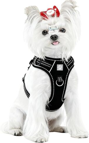 Front Clip No Pull Dog Harness, Breathable Mesh Padded Design, Reflective Adjustable Vest with Dual Leash Clips for Dog Training (M, Hot Pink) in Saudi Arabia