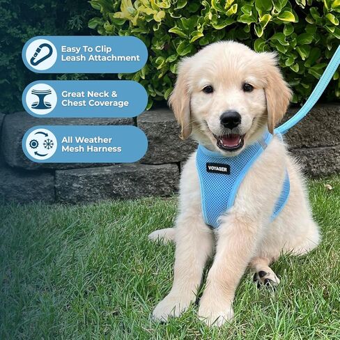 أفضل أدوات الحيوانات الأليفة Voyager Step-In Air Harness - شبكة لجميع الأحوال الجوية، عاكسة، لا يوجد حزام سحب للكلاب والقطط - آمن مع مشبك وحلقة تثبيت، مشبك، حلقات مزدوجة على شكل حرف D - أزرق فاتح، XS in Kuwait