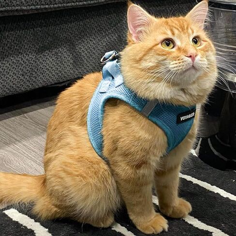أفضل أدوات الحيوانات الأليفة Voyager Step-In Air Harness - شبكة لجميع الأحوال الجوية، عاكسة، لا يوجد حزام سحب للكلاب والقطط - آمن مع مشبك وحلقة تثبيت، مشبك، حلقات مزدوجة على شكل حرف D - أزرق فاتح، XS in Kuwait