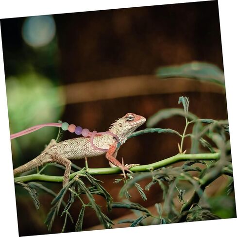 Happyyami Adjustable Luminous Reptile Harness Rope for Small Pets Sturdy Traction Leash for Lizards and Turtles Training Cable with Extended for Outdoor Walking and Control in Saudi Arabia