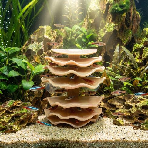 DQITJ Shrimp Hide Aquarium Fish Hideout with Suction Cup Aquarium Fish Cave Hideout Betta Habitat Fish Tank Decoration in Saudi Arabia