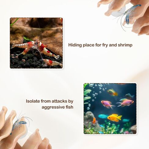 DQITJ Shrimp Hide Aquarium Fish Hideout with Suction Cup Aquarium Fish Cave Hideout Betta Habitat Fish Tank Decoration in Saudi Arabia