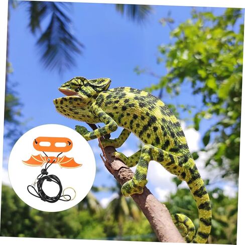 Happyyami 5Pcs Adjustable Bearded Dragon Harness Leash with Wings Reptile Gecko Harness for Comfortable Outdoor Walking and Training in Saudi Arabia