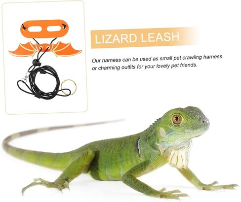 Happyyami 5Pcs Adjustable Bearded Dragon Harness Leash with Wings Reptile Gecko Harness for Comfortable Outdoor Walking and Training in Saudi Arabia