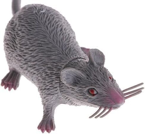 Lifelike Fake Mouse Realistic Mice, Spooky Rat, Halloween Prank, Rubber Rat with Long Tail, Creepy April Fool's Day Decorations in Saudi Arabia