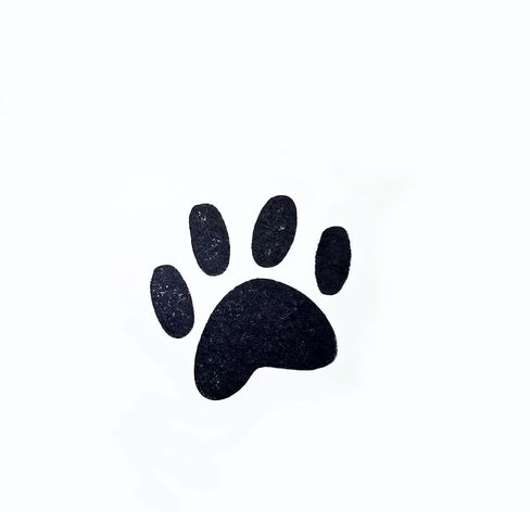 Colop Decorative Novelty Craft Stamp – Rubber Ink Stamp for Scrapbooking, Planners, Card Making, Classroom Activities, DIY Paper Crafts, and Creative Projects (Paw Print) in Saudi Arabia