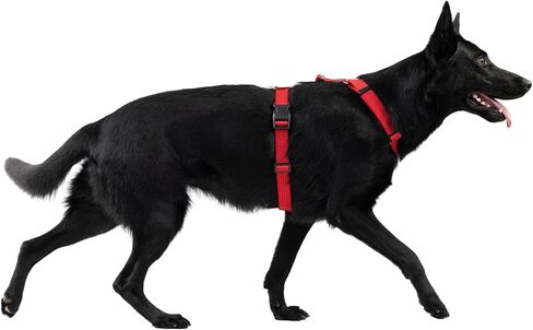 Anatomically Correct Y-Shape Dog Harness, Non-Restrictive, No Pull, 6-Point Adjustable for Natural Movement, Escape-Proof, Reflective, Easy-Fit, Medium, Beige (Red, Medium) in Saudi Arabia